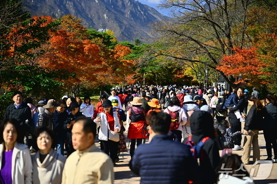 "단풍 드니 좋네"…설악·오대산 등 강원 명산 5만4000명 인산인해