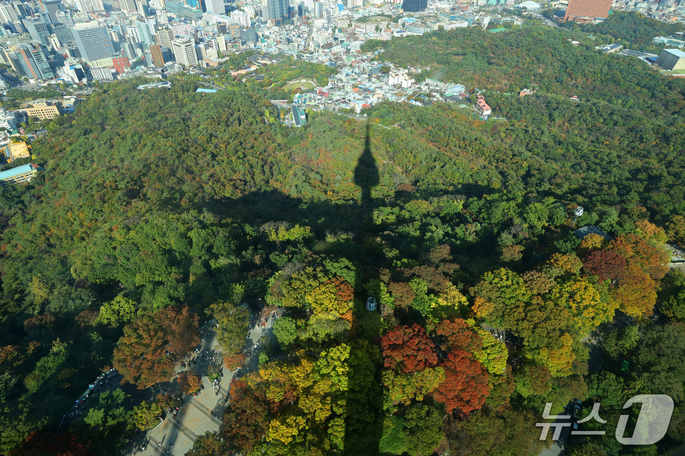(서울=뉴스1) 박세연 기자 = 완연한 가을 날씨를 보인 17일 오후 서울 N서울타워에서 바라본 남산이 가을색으로 물들고 있다. 2026.10.17/뉴스1