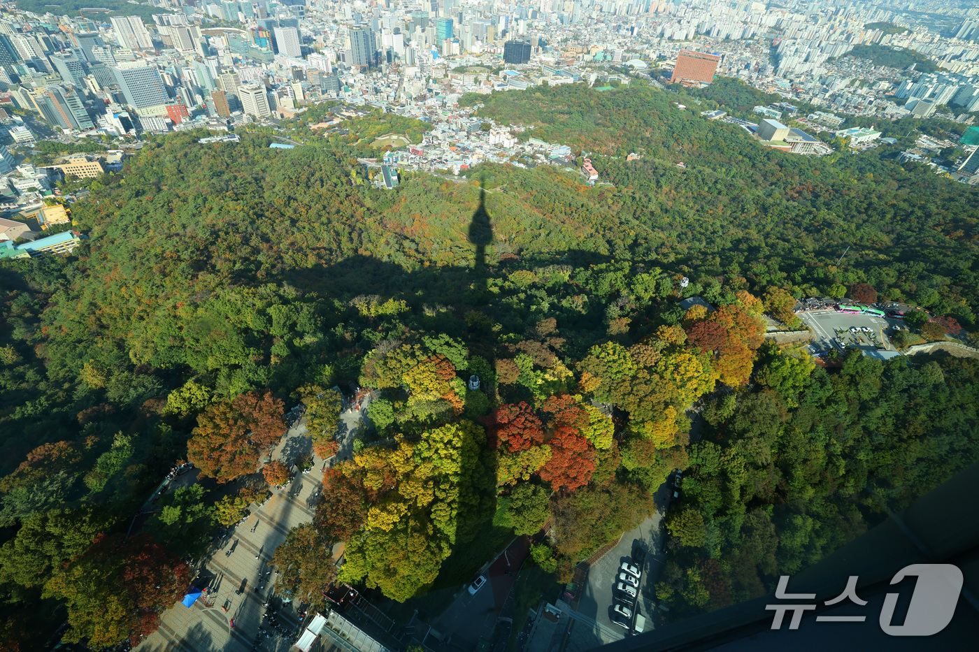 (서울=뉴스1) 박세연 기자 = 완연한 가을 날씨를 보인 17일 오후 서울 N서울타워에서 바라본 남산이 가을색으로 물들고 있다. 2026.10.17/뉴스1
