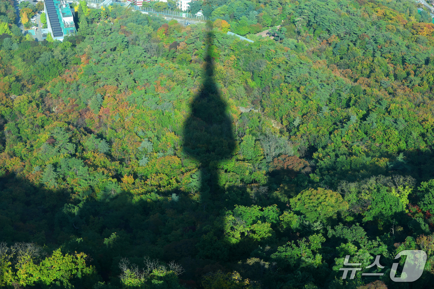 (서울=뉴스1) 박세연 기자 = 완연한 가을 날씨를 보인 17일 오후 서울 N서울타워에서 바라본 남산이 가을색으로 물들고 있다. 2026.10.17/뉴스1