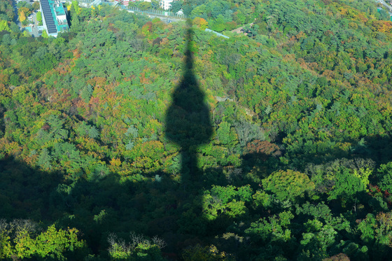 '가을색으로 물들어가는 남산'