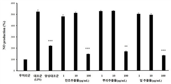 콩제비꽃 추출물, 세포실험서 염증반응 억제…낙동강생물자원관 특허 출원