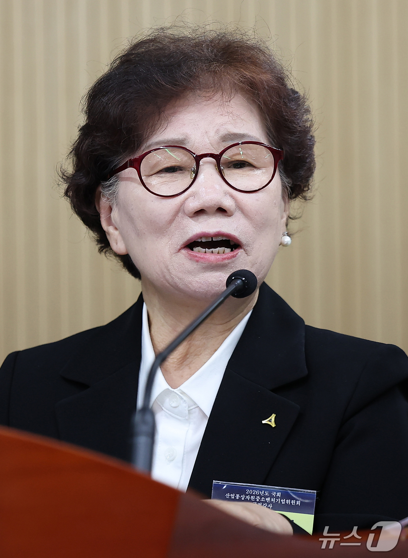 (대구=뉴스1) 공정식 기자 = 진길우 대한석탄공사 사장 직무대리가 19일 대구 동구 한국가스공사 본사에서 열린 2026년도 국회 산자중기위원회의 한국가스공사, 한국석유공사, 강원 …