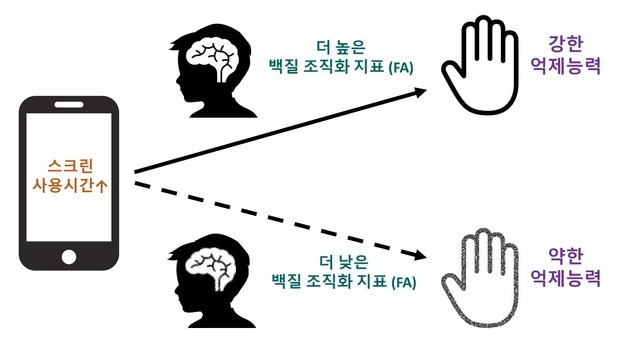 "스크린 오래 보면 아이 충동조절력 떨어진다"…뇌 백질이 변수