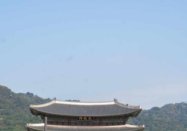 서울시, 서울광장-광화문 일대 가을꽃 1만8480본 새단장…61종 식재
