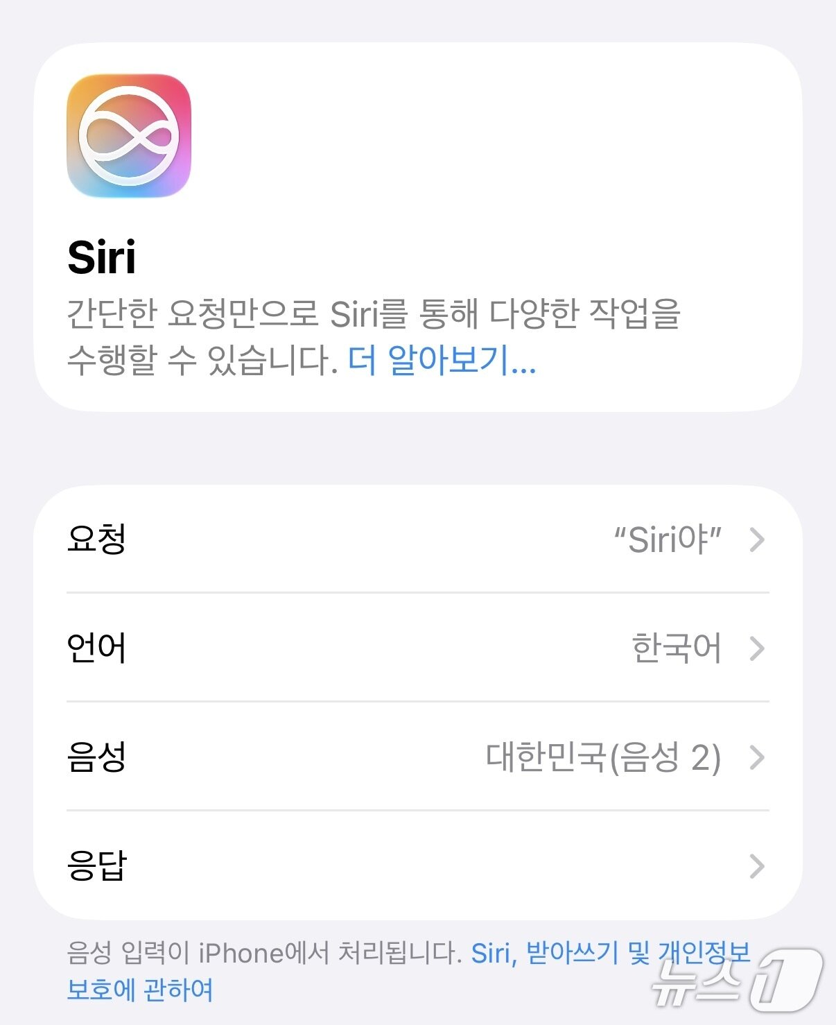 본문 이미지 - 시리 앱에 들어가 기능을 활성화 한 뒤 에어팟을 낀 채 "시리야"를 부르면 휴대폰을 굳이 꺼내어 보지 않아도 에어팟만으로도 시리를 이용할 수 있다.  ⓒ뉴스1 신민경 기자