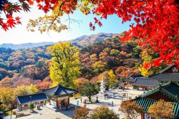 개천절 연휴 어디 갈까…가을 정취 좋은 양평 명소 4곳