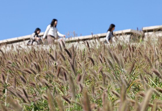 충북의 가을 축제로 물든다…10~11월 행사 잇따라