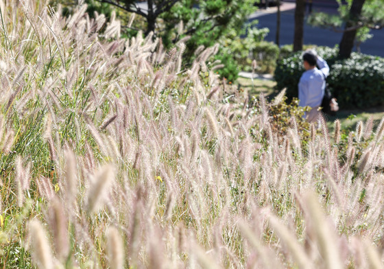 [오늘의 날씨] 울산(3일, 토)…아침부터 흐림, 일교차 커