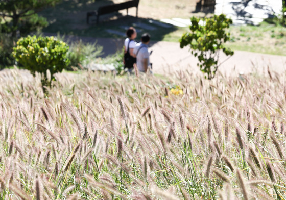 [오늘의 날씨] 전남광주(3일, 토)…곡성 최저기온 8도…10~15도 안팎 일교차