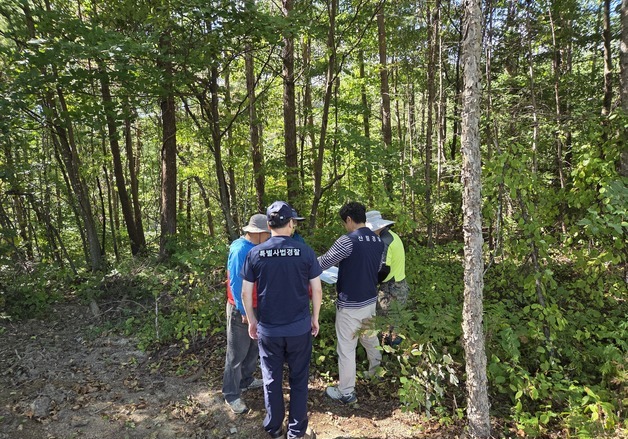 '버섯·잣 함부로 따면 안돼요'…동부산림청, 평창 국유림 특별단속
