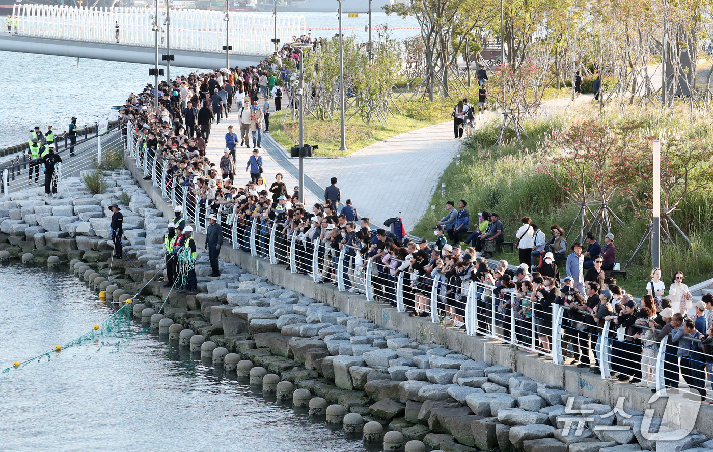 (부산=뉴스1) 윤일지 기자 = 2일 오후 부산 동구 북항 친수공원 인공수로에서 15일째 체류 중인 상어 '부캉이'를 바다로 돌려보내는 2차 구조 작업이 진행되고 있는 가운데 시민 …