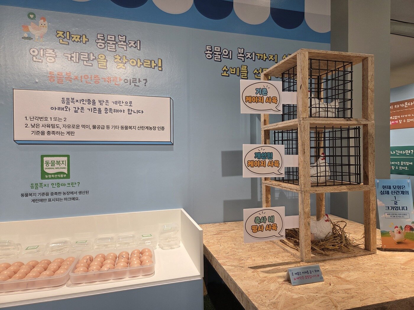 본문 이미지 - 난각 번호와 동물복지 인증마크를 통해 동물복지 달걀을 알아보는 체험 현장 ⓒ 뉴스1 한송아 기자