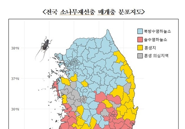 경북 소나무재선충병 피해목 481만 그루…전국 두 번째 많아