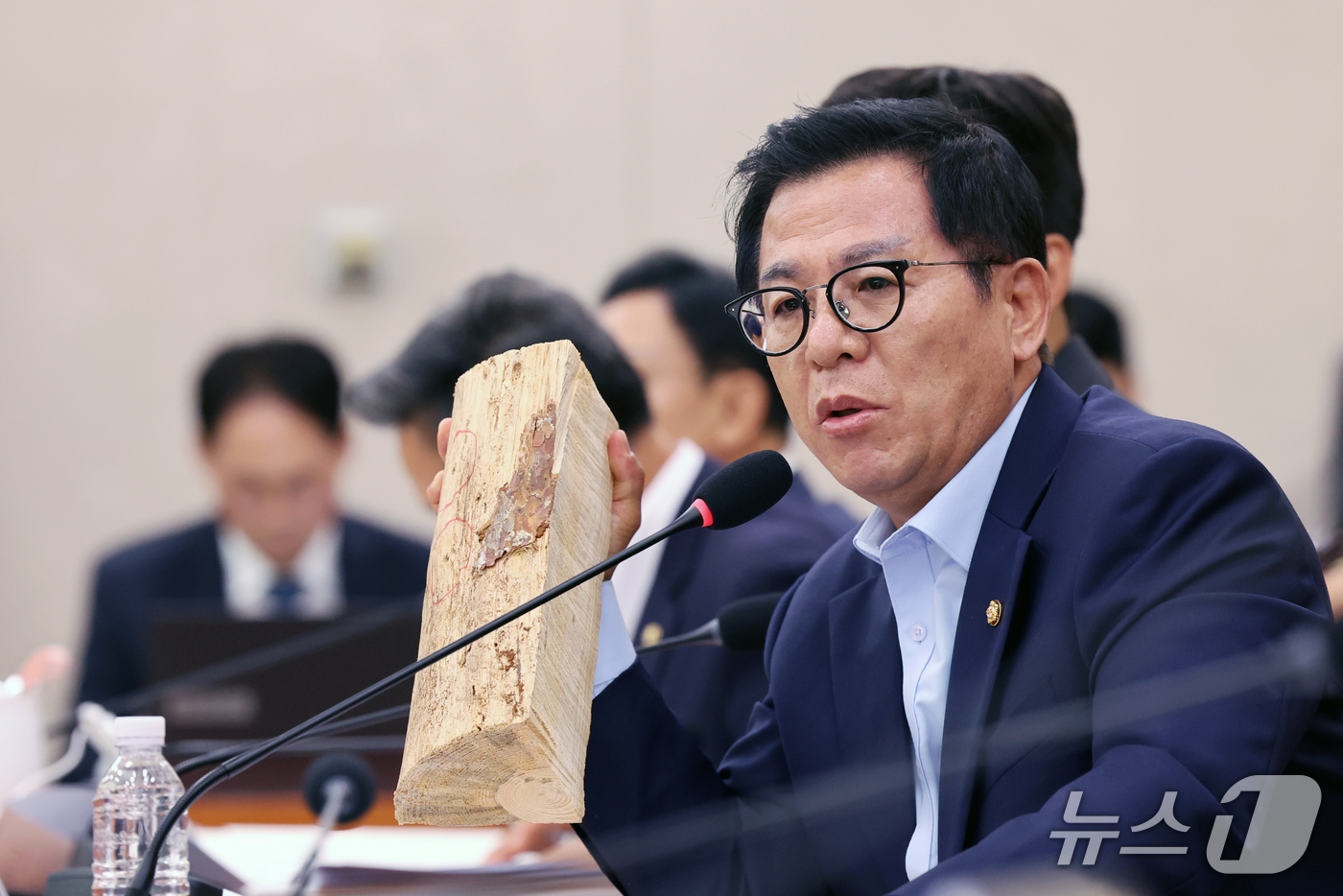(서울=뉴스1) 황기선 기자 = 이상휘 국민의힘 의원이 20일 서울 여의도 국회 농림축산식품해양수산위원회에서 열린 산림청 등에 대한 국정감사에서 재선충병에 걸린 소나무를 들고 질의 …