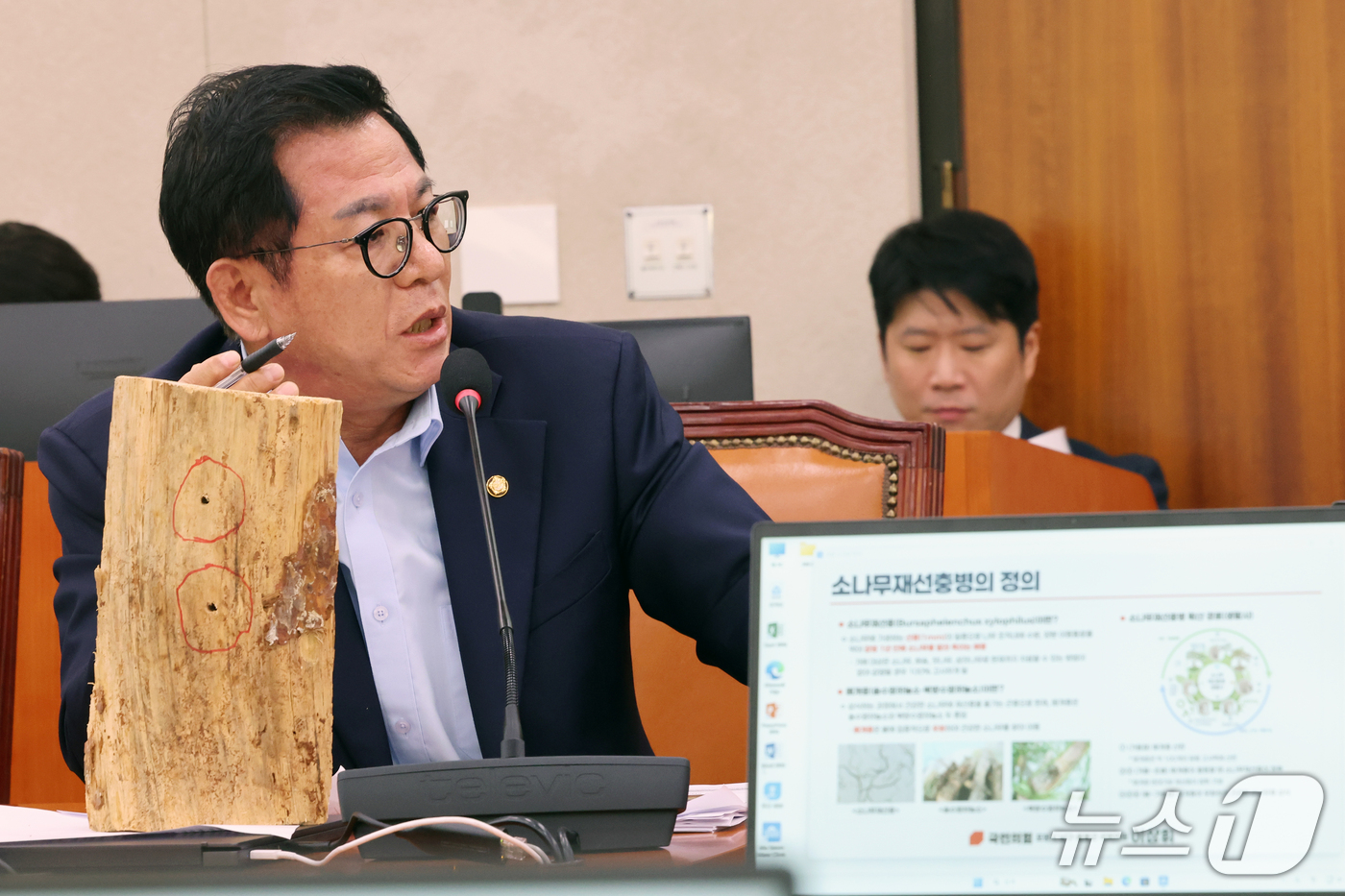(서울=뉴스1) 황기선 기자 = 이상휘 국민의힘 의원이 20일 서울 여의도 국회 농림축산식품해양수산위원회에서 열린 산림청 등에 대한 국정감사에서 재선충병에 걸린 소나무를 들고 질의 …
