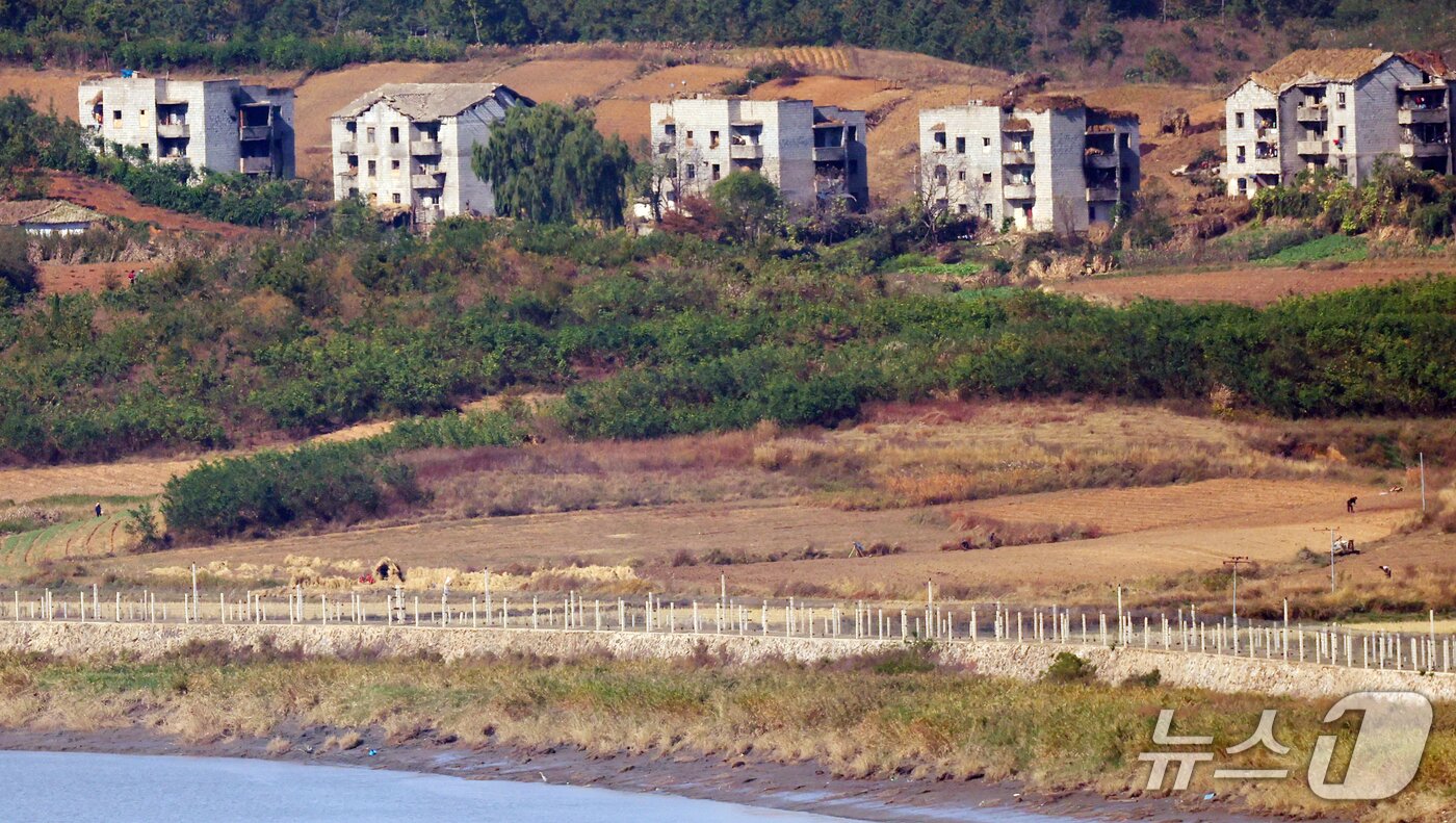본문 이미지 - 20일 경기도 파주시 오두산 전망대에서 바라본 북한 지역 주민들이 영농일을 하고 있다.  2026.10.20 ⓒ 뉴스1 김명섭 기자