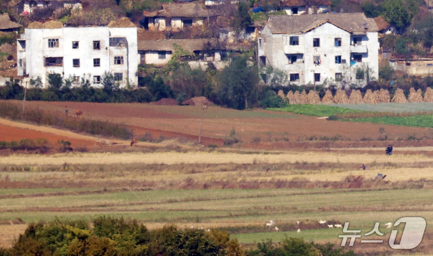 본문 이미지 - 경기도 파주시 오두산 전망대에서 바라본 북한 지역 주민들이 영농일을 하고 있다.  2026.10.20 ⓒ 뉴스1 김명섭 기자