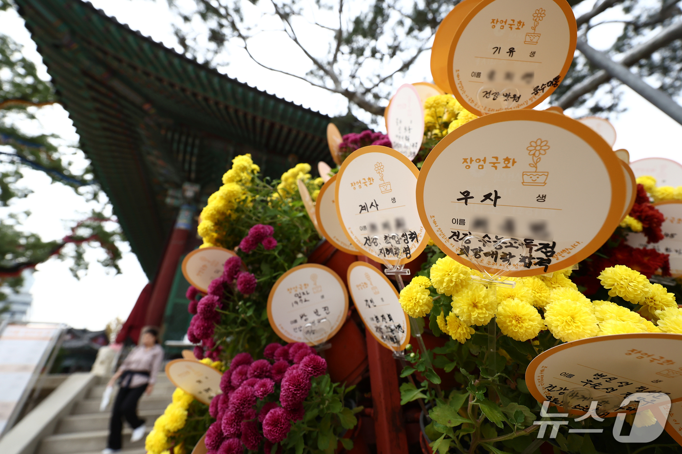 (서울=뉴스1) 김민지 기자 = 2027학년도 대학수학능력시험(수능)을 30일 앞둔 20일 오후 서울 종로구 조계사에 대학 합격 기원 소원 메시지가 걸려 있다. 2026.10.20 …