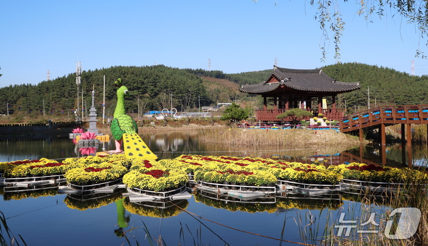 본문 이미지 - 지난해 충남 태안군 원북면 옥파 이종일 선생 생가지 일원에서 열린 태안국화축제에서 형형색색의 국화와 대형 공작새 조형물이 연못 위를 수놓고 있다.(태안군 제공. 재판매 및 DB 금지)