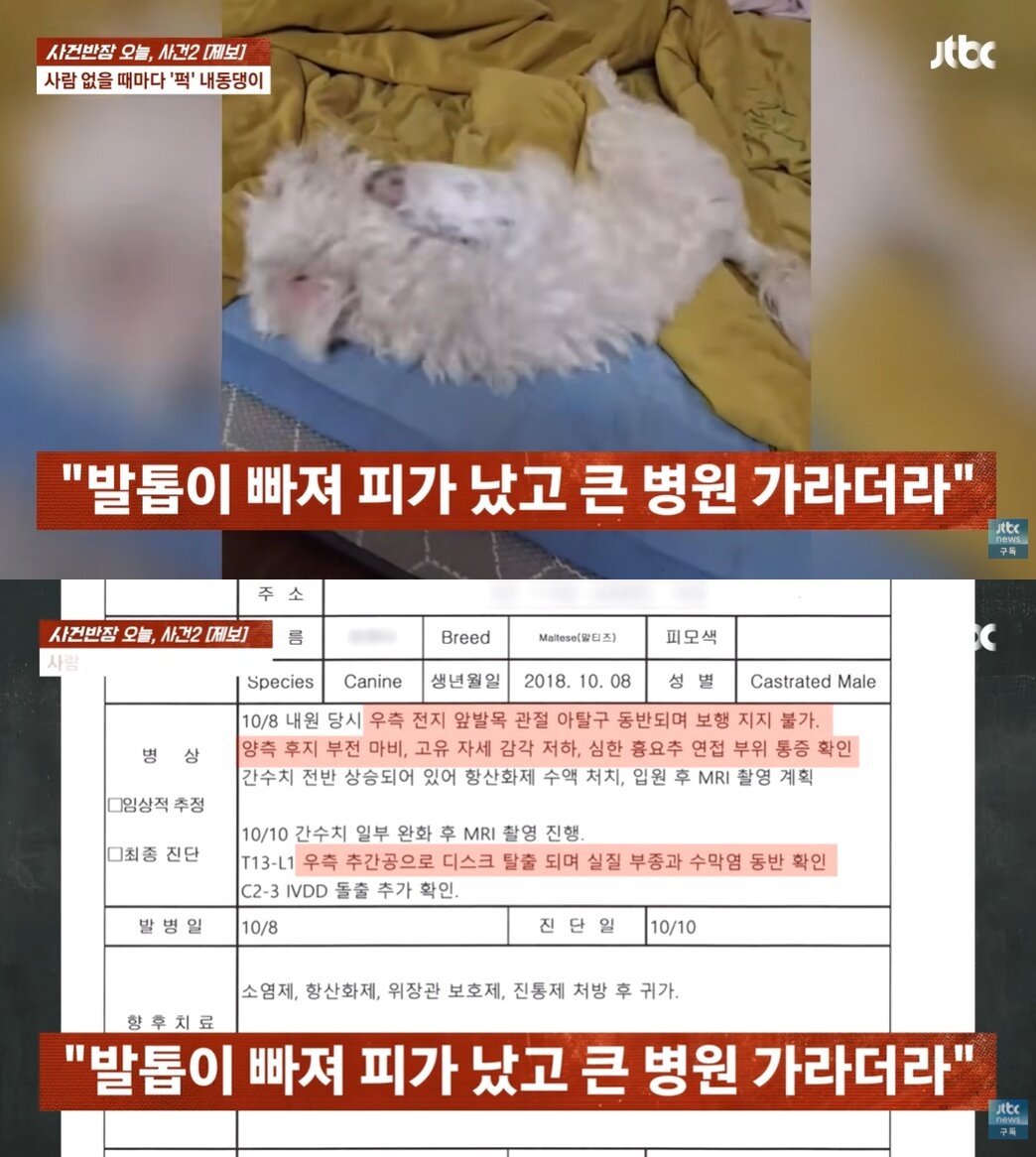 본문 이미지 - JTBC '사건반장'