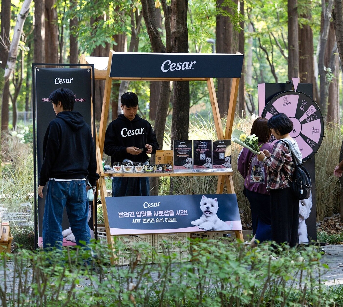 본문 이미지 - 한국마즈의 프리미엄 펫푸드 브랜드 시저(CESAR)가 ‘댕댕파크’에서 반려견과 보호자 대상 샘플링 이벤트를 진행 중이다(한국마즈 제공). ⓒ 뉴스1