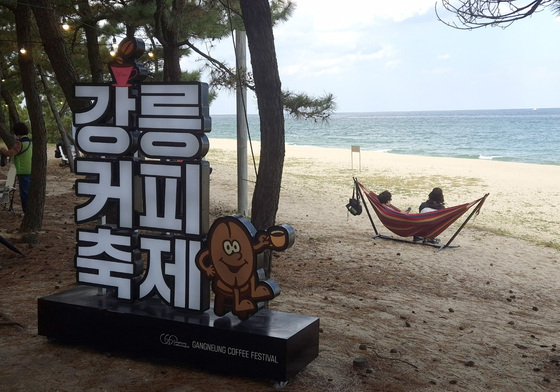 커피향 머금은 바다서 해먹에 누워