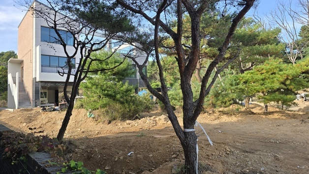 고양 사찰 주변 불법 개발, 관할 구청 원상복구 후속 조치 '나 몰라라'