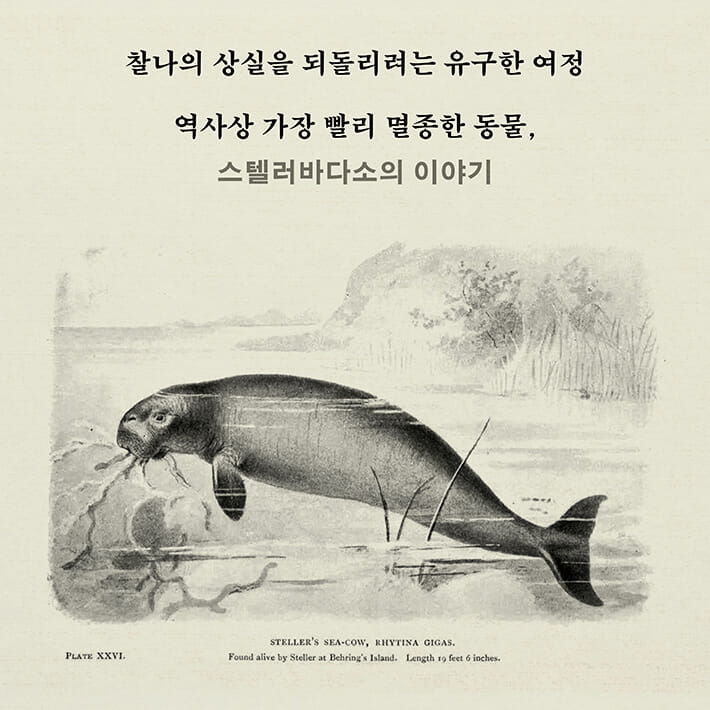 본문 이미지 - '숨의 조각' 표지/뉴스1