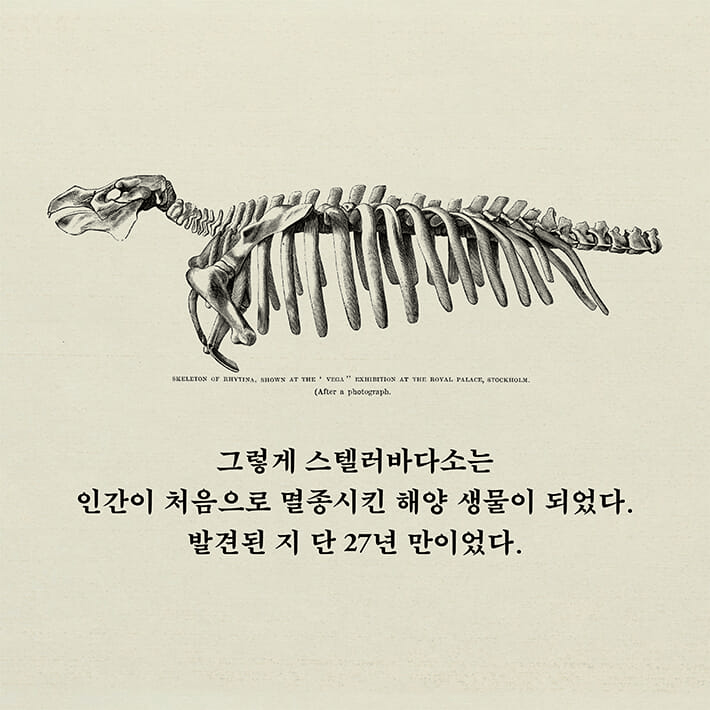 본문 이미지 - '숨의 조각' 표지/뉴스1