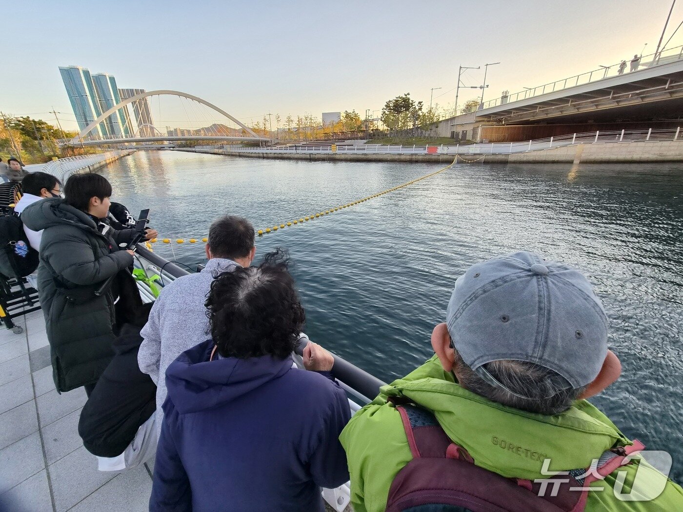 본문 이미지 - 기온이 뚝 떨어진 22일 오전 7시께 부산 동구 북항친수공원 인공수로 앞에 흑상어 '부캉이'가 다시 나타났다는 소식을 듣고 찾아온 시민들이 난간에 기대 수면을 유심히 살펴보고 있다. 2026.10.22 ⓒ News1 임순택 기자