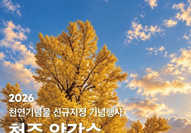 "고려 말 이색 목숨 구한 은행나무"…'청주 압각수' 천연기념물 등재 축제