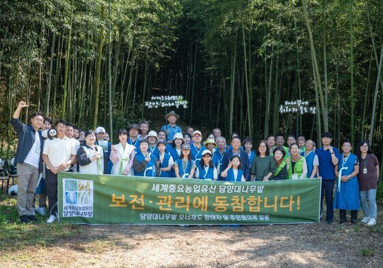 "다모·알포인트 배경 담양 대나무밭 살리자"…크라우드 펀딩 추진
