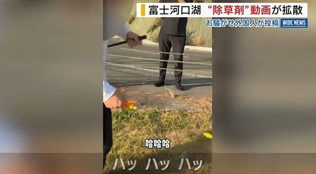 "게으른 일본인들 대신 잡초 뽑아줄게"…中 관광객 영상 논란