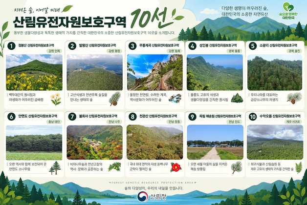 산림청, 산림유전자원보호구역 10선 발표…곰배령·안면도·성인봉 등