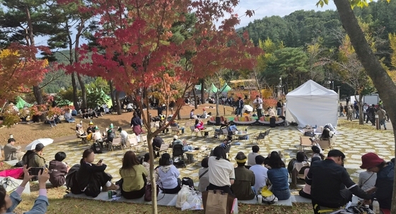 단풍나무 아래서 즐기는 김천 김밥축제