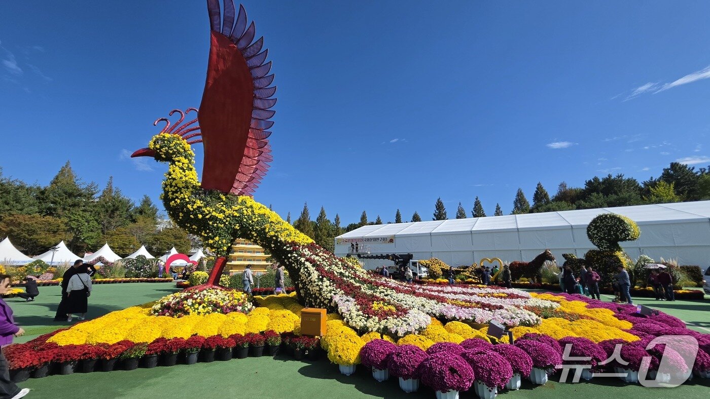 본문 이미지 - 제23회 익산 천만송이 국화축제가 23일 개막해 열흘간의 대장정에 돌입한다.(익산시 제공. 재판매 및 DB 금지)