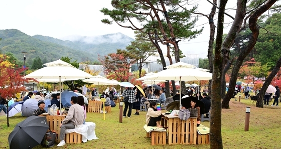 비속에서도 즐기는 김밥축제