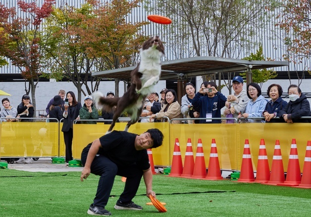'반려견과 함께하는 특별한 하루'…가을철 반려문화축제 호응