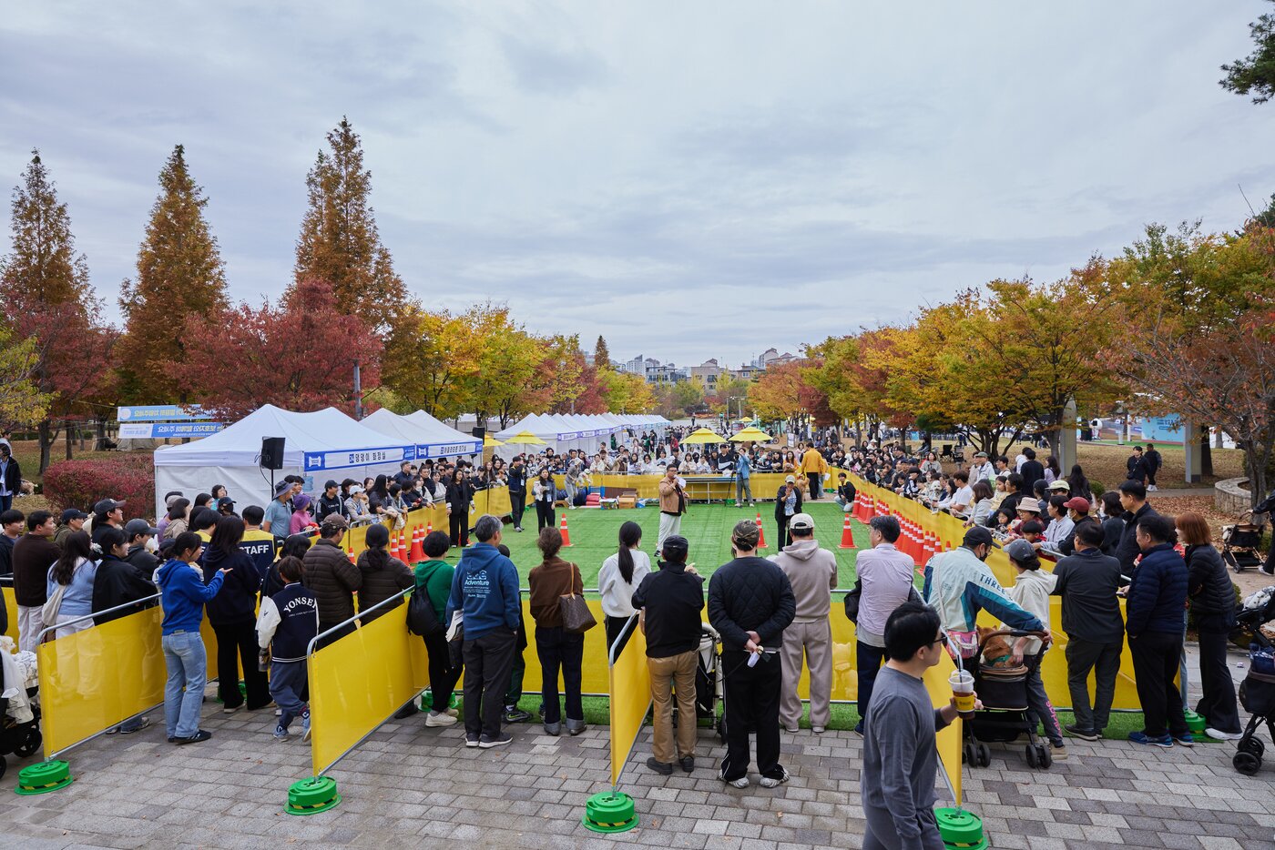 본문 이미지 - 제2회 김포시 반려문화축제가 24일 열렸다(마음을담다 제공). ⓒ 뉴스1