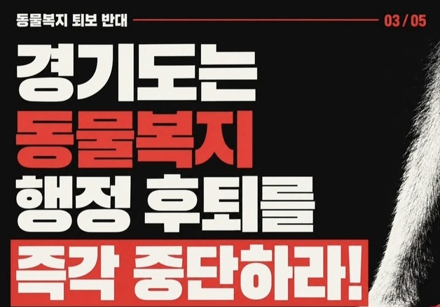 경기도 축산동물복지국 사라지나…시민단체·수의사회, 반발