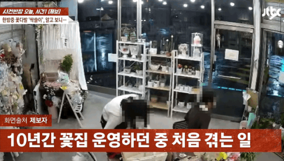 본문 이미지 - JTBC '사건반장'
