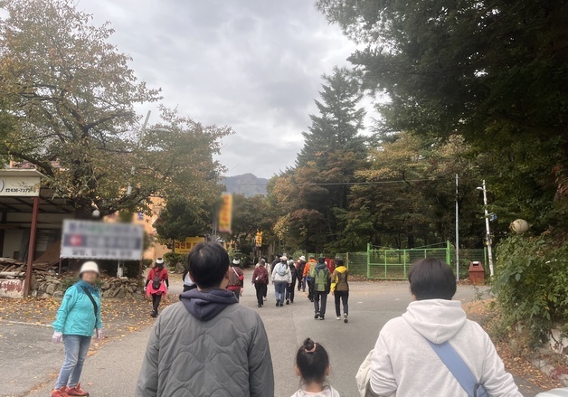 "흐려도 오색 단풍에 매료"…설악만 2만명, 전국 유명산 북적(종합)