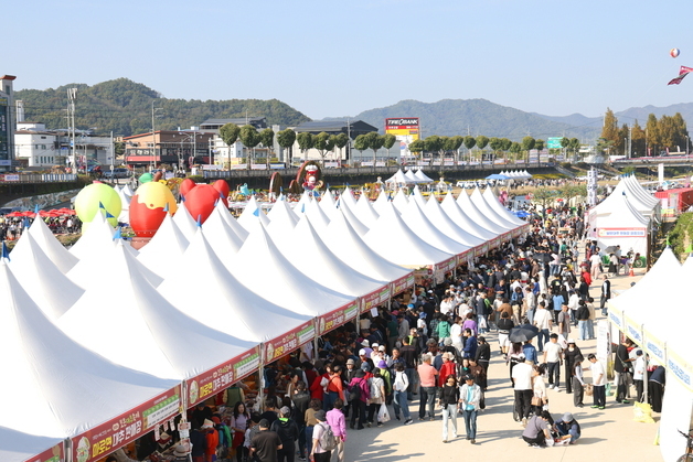 궂은 날씨에도 많은 관람객…보은대추축제  51억2390만원 판매
