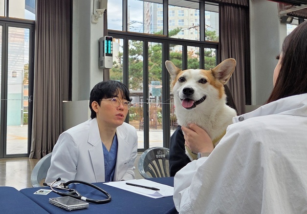 반려동물과 영화 관람하고 수의사에게 건강 상담 '상플시네멍'