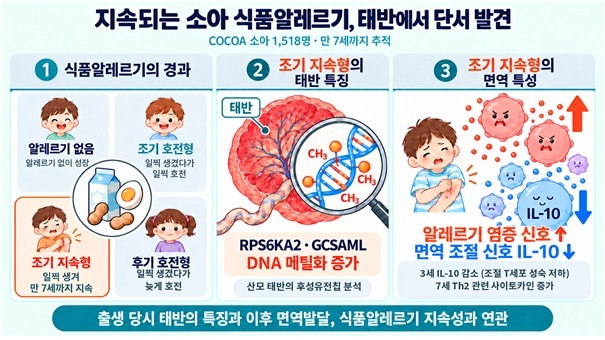 "크면 낫는다더니"…아이 식품알레르기, 태반에 단서 있었다