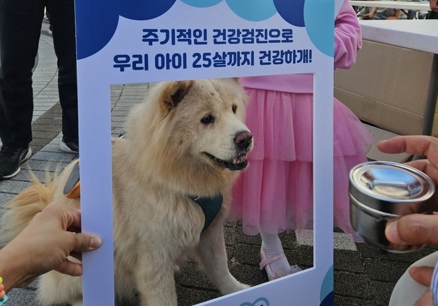 "반려동물 건강, 아프기 전 챙겨요"…그린벳·수의사회 캠페인