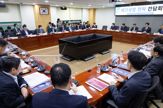 민주당 '메가성장 전략 간담회'