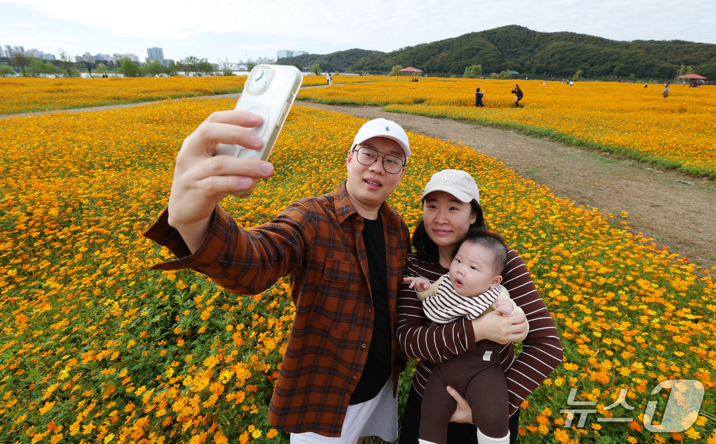 (용인=뉴스1) 김영운 기자 = 26일 경기 용인시 기흥구 기흥호수공원에 산책을 나온 시민들이 만개한 황화코스모스를 바라보며 가을 정취를 느끼고 있다. 2026.10.26/뉴스1