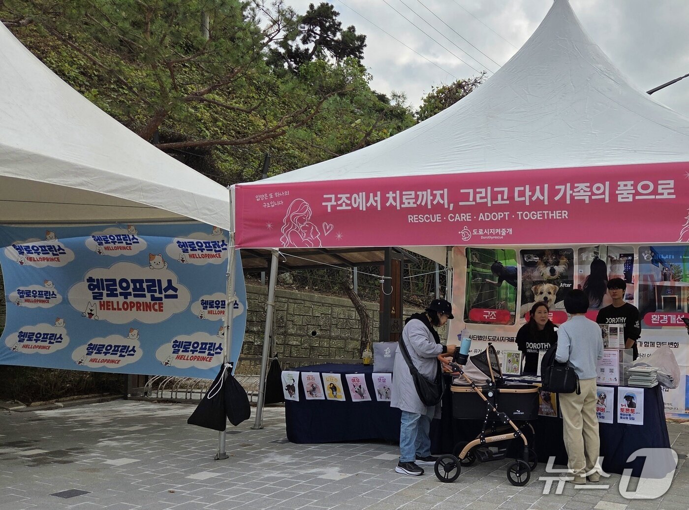 본문 이미지 - 동물보호단체가 26일 반려동물복지센터 개소식에서 입양 홍보를 하고 있다. ⓒ 뉴스1